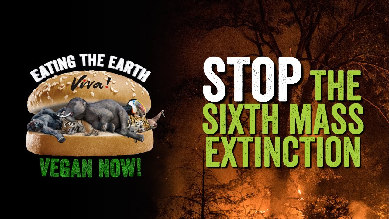 We Are Eating The Earth — Viva! infomercial still